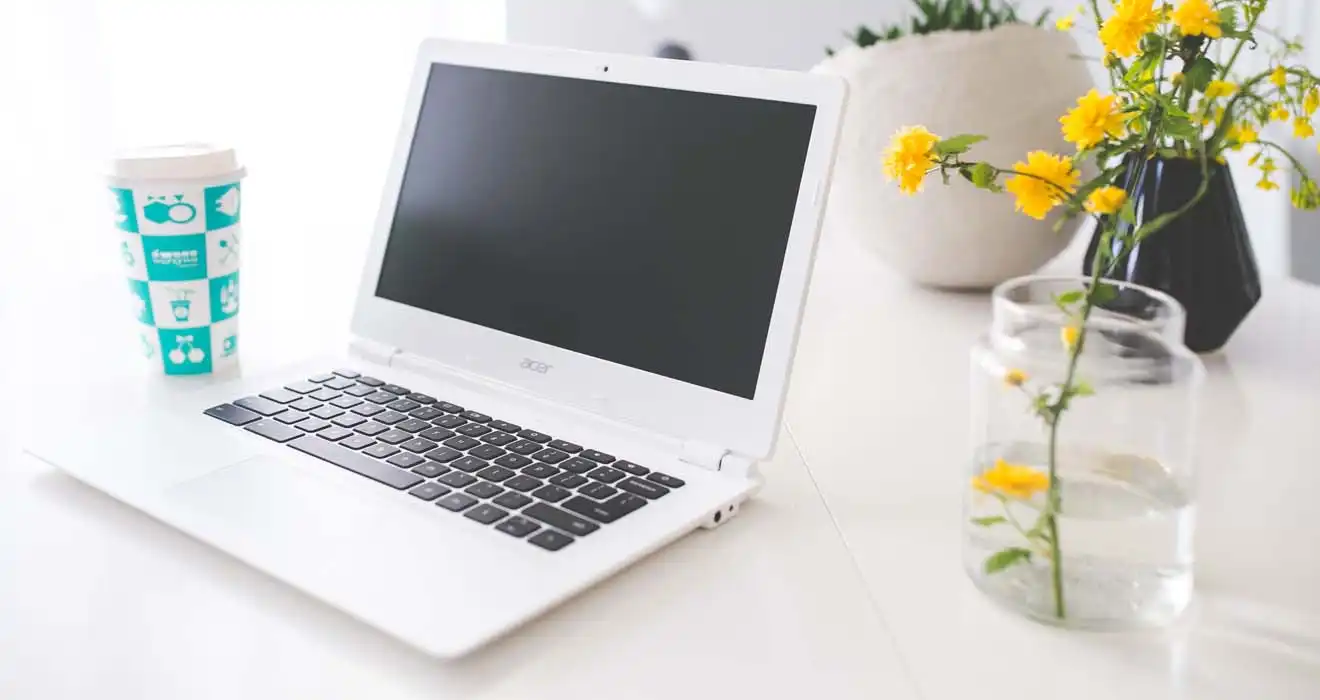 Ремонт ноутбуков Acer в Пышме